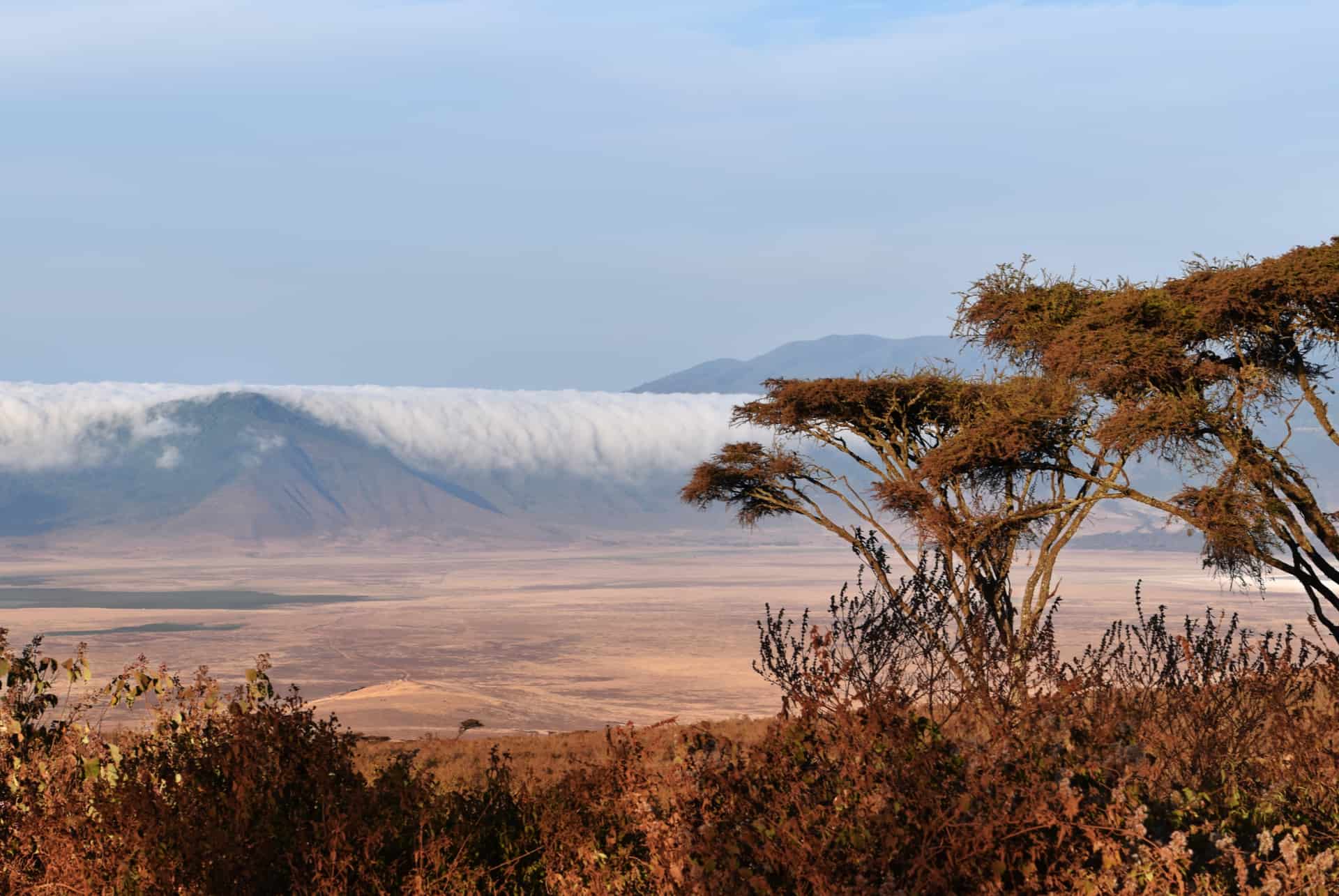reserva del cráter del ngorongoro