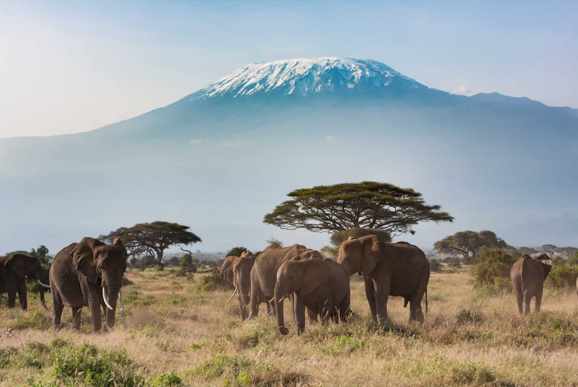 parque nacional amboseli