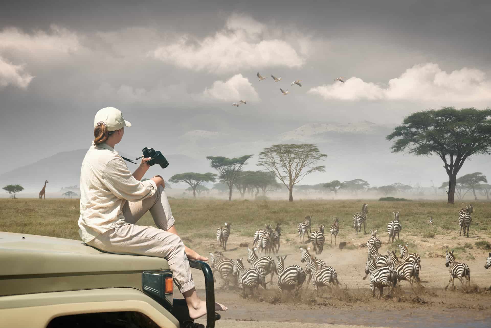 parc national serengeti
