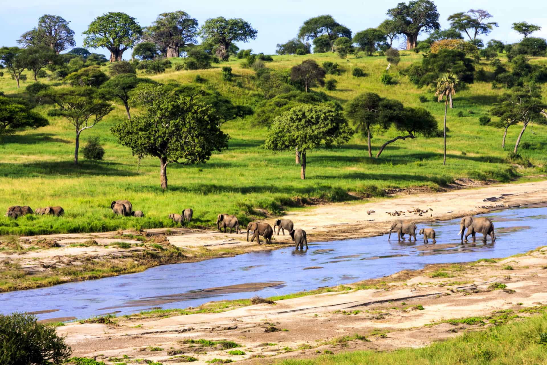 quand partir sejourner en tanzanie