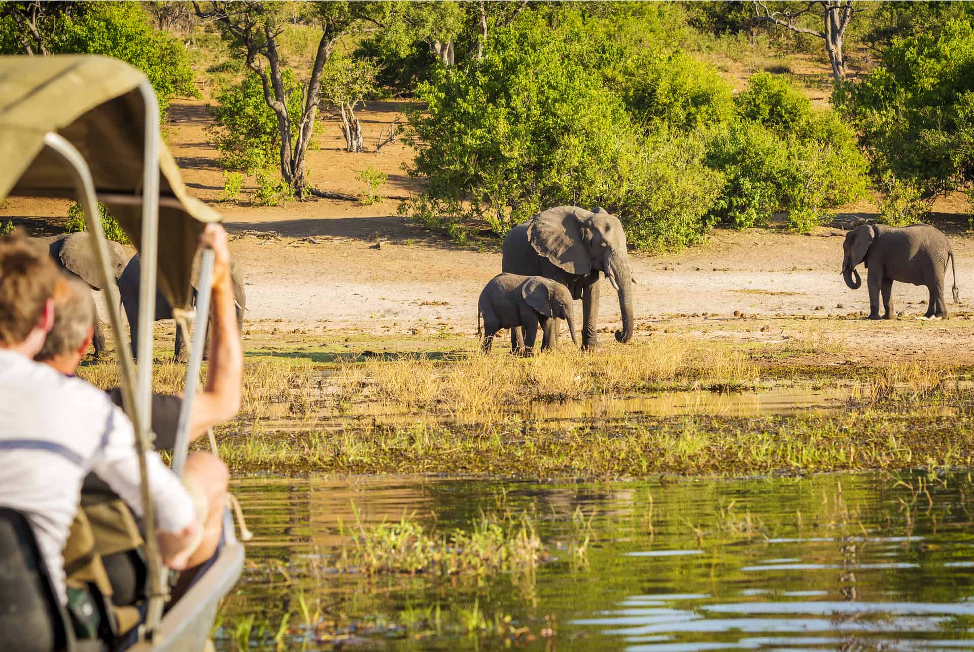 quelle période pour faire un safari en afrique