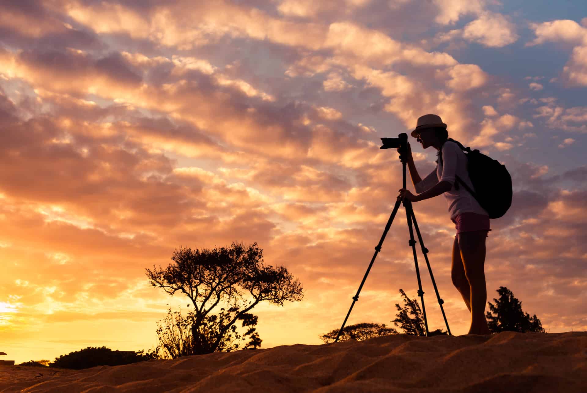 safari fotografico