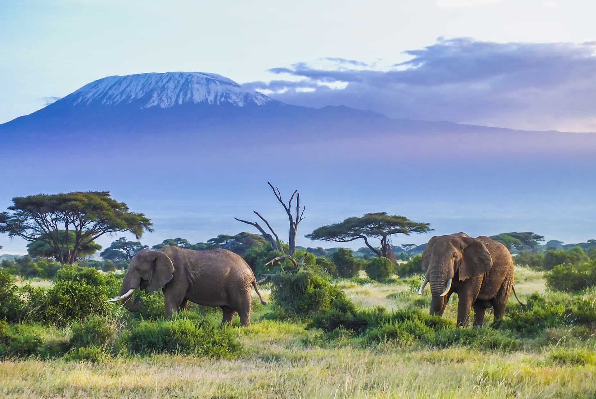 llegar al parque nacional de amboseli