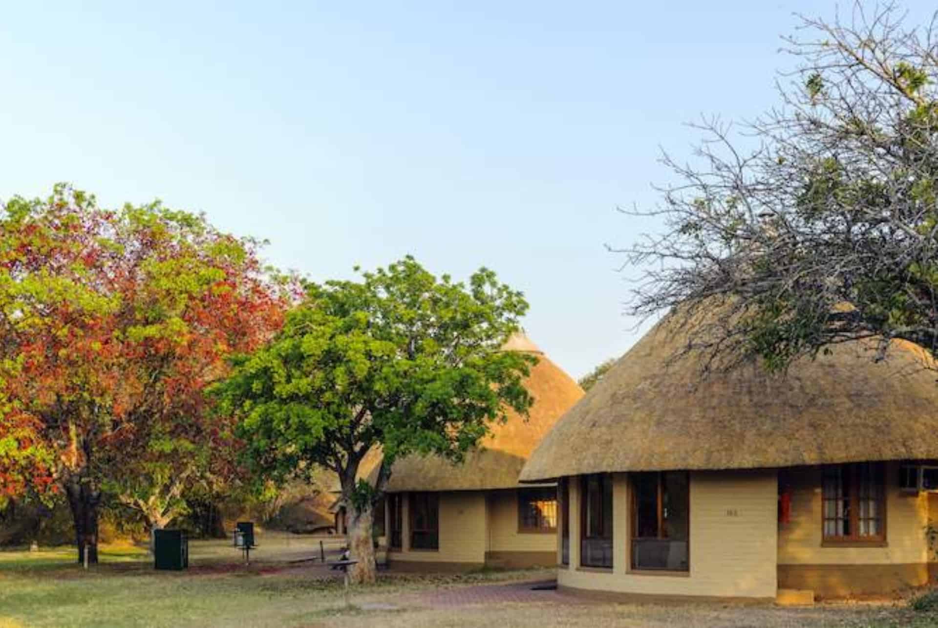 skukuza camp