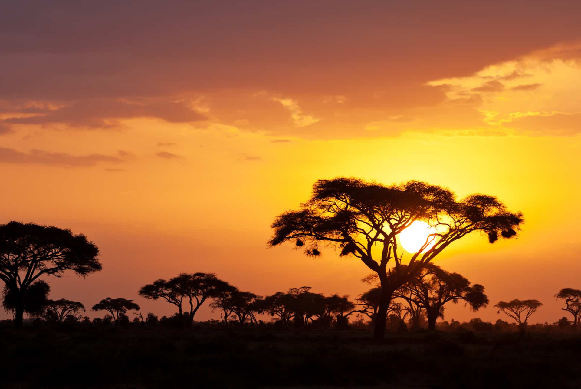 kenia