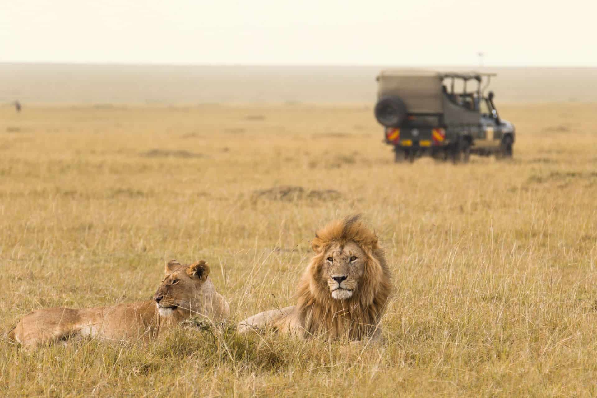 visit the masai mara nature reserve