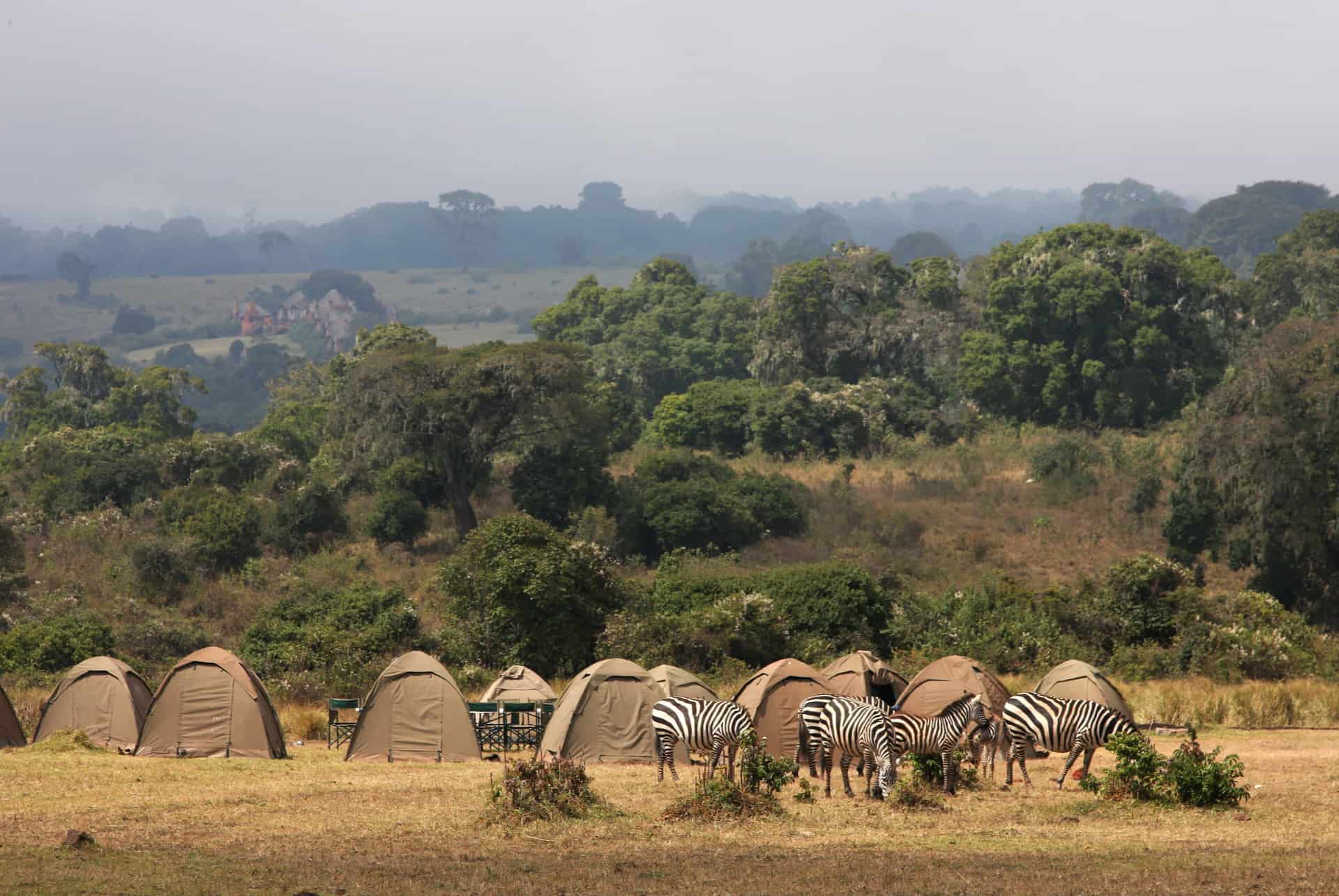 campamento precio safari tanzania