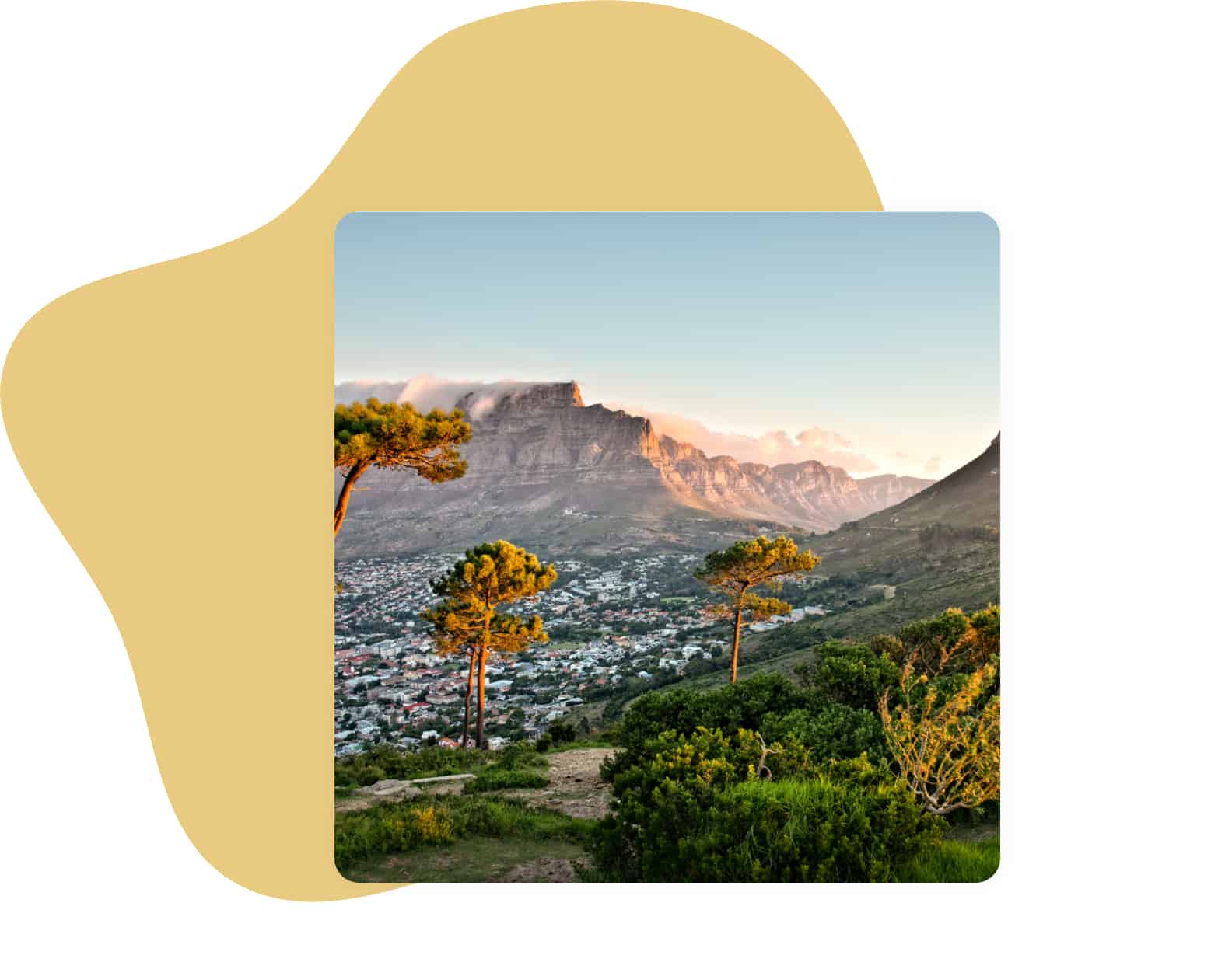 categorie afrique du sud
