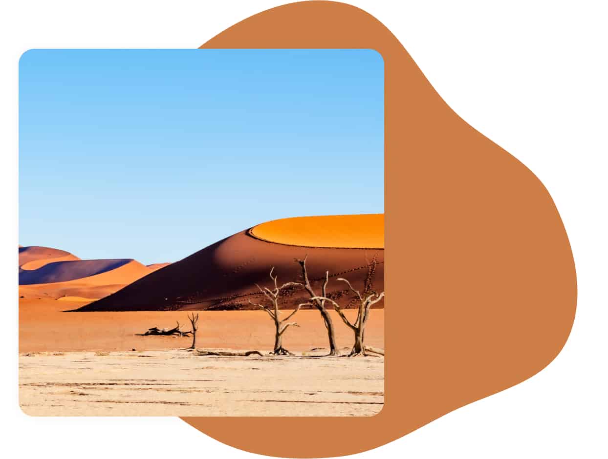 categorie namibie