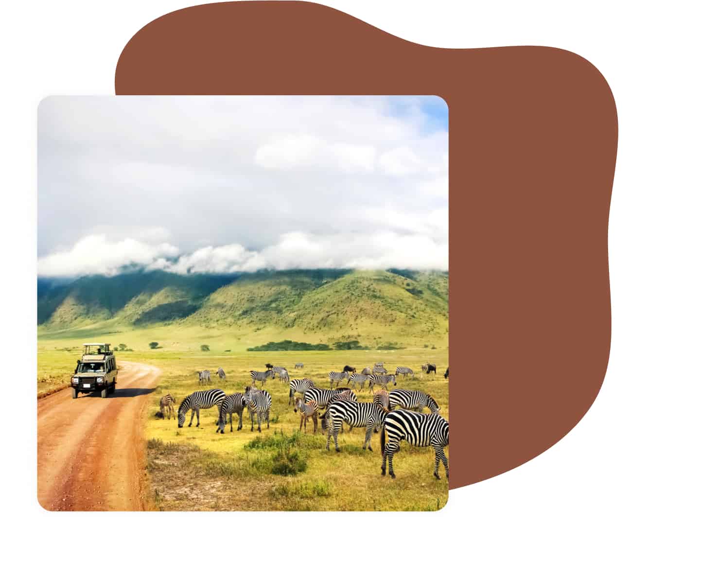categorie tanzanie