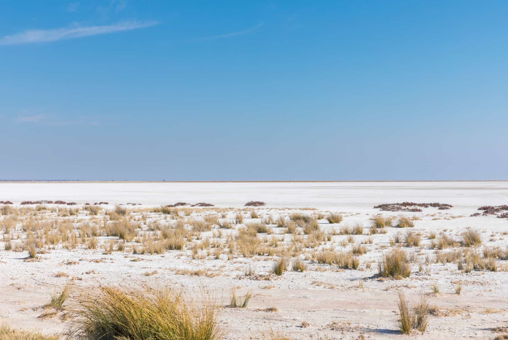 desert de sel parc national etosha