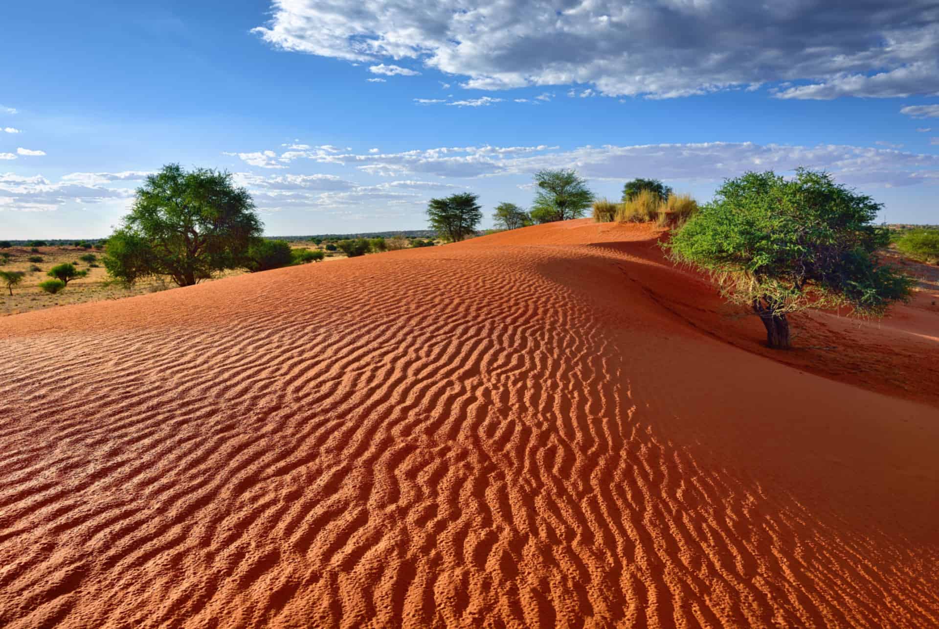 desierto kalahari botswana