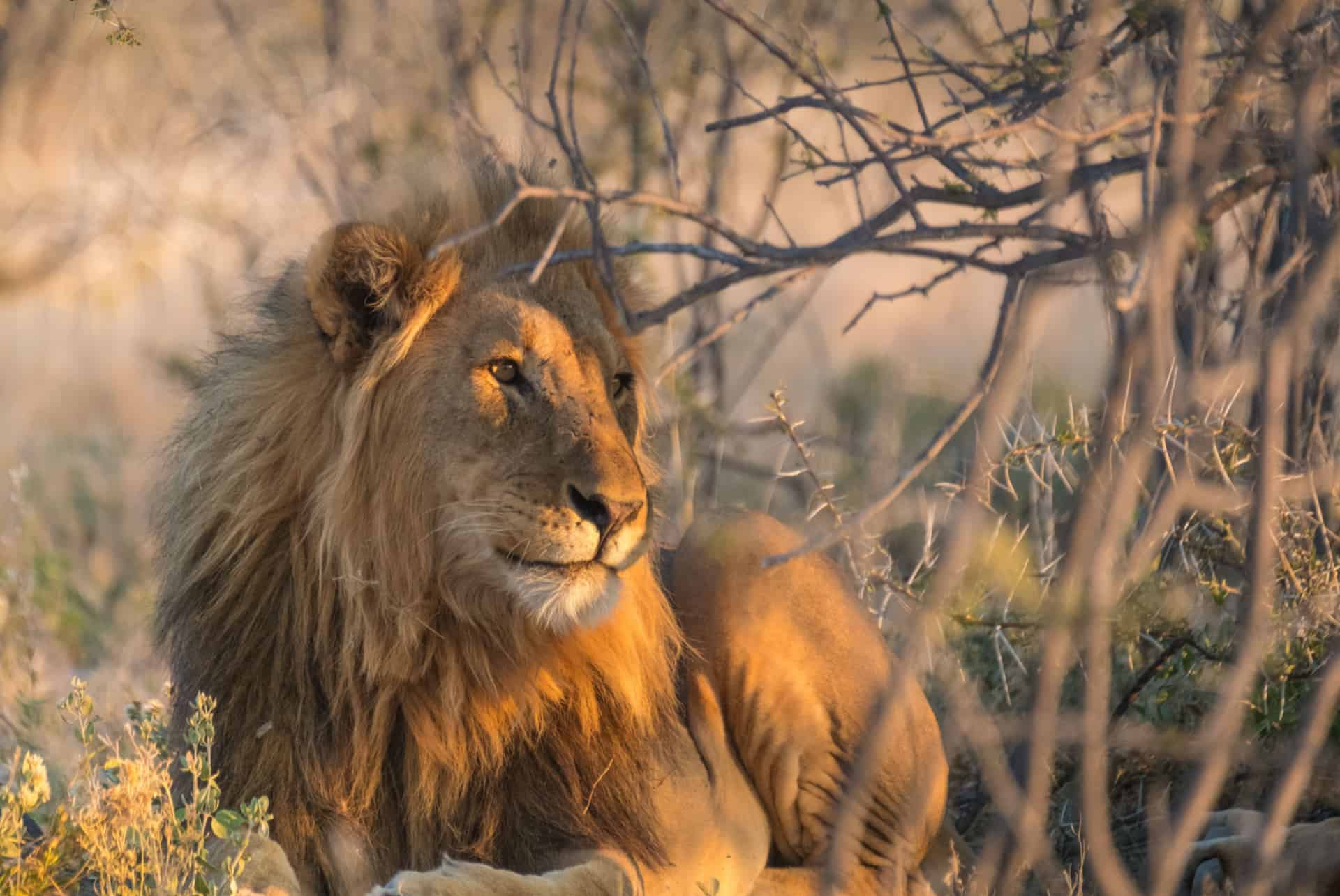 quand partir en namibie touristes