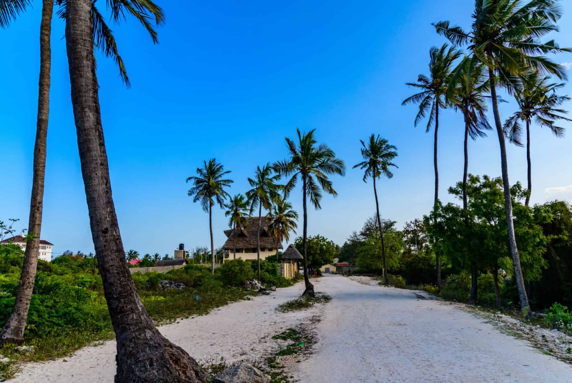 village matemwe zanzibar