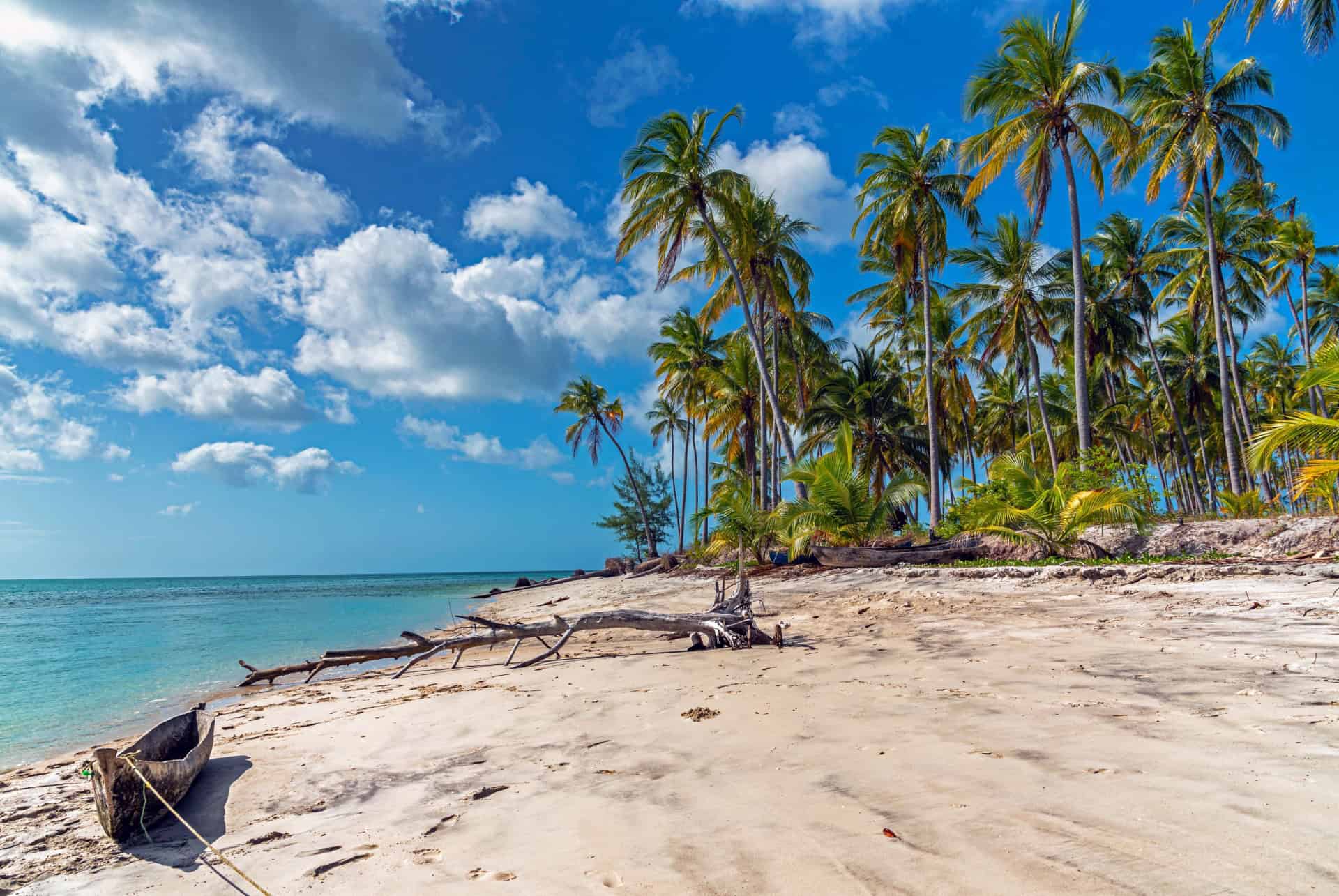 mafia island tanzanie