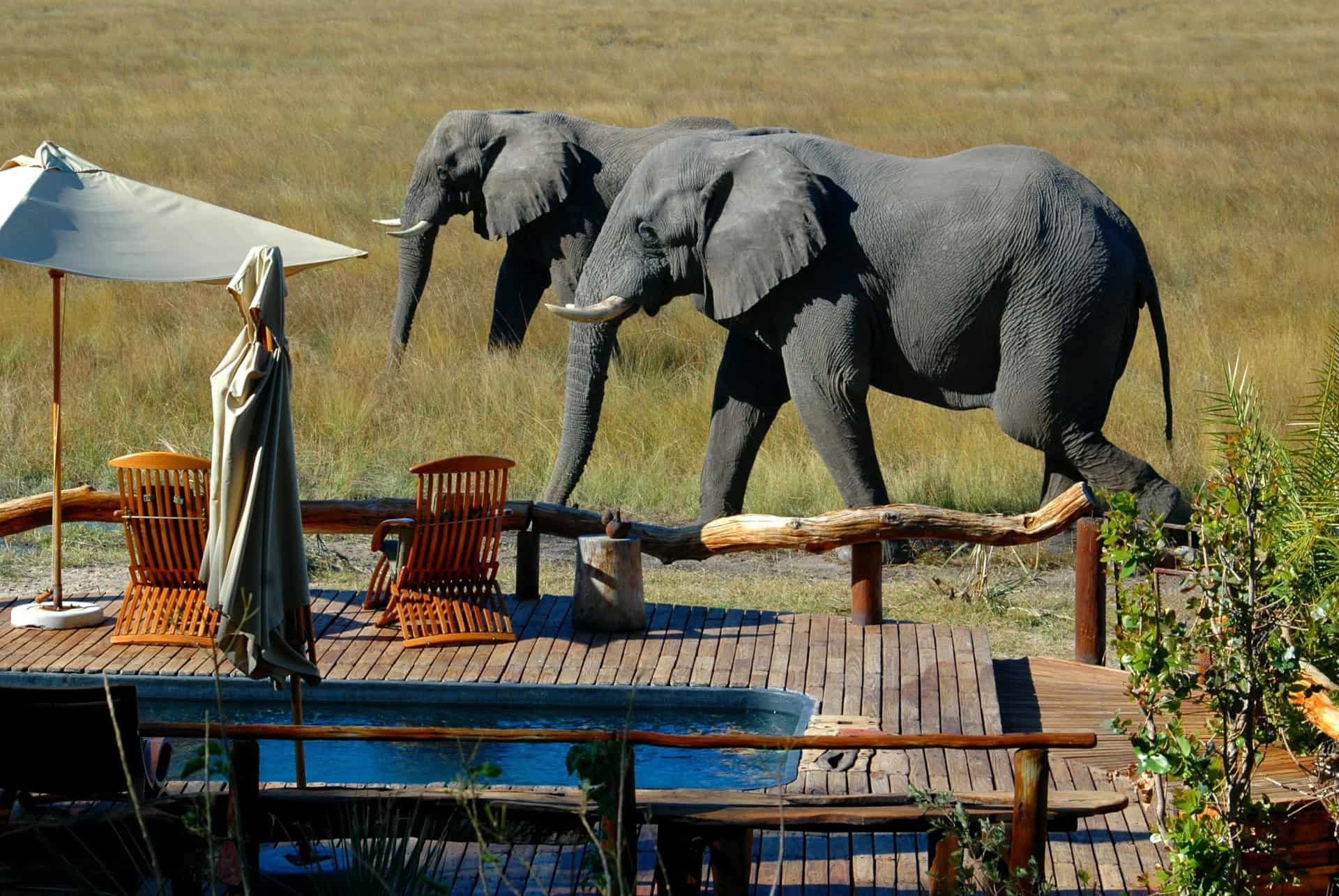 alojamiento precio de un safari en sudafrica