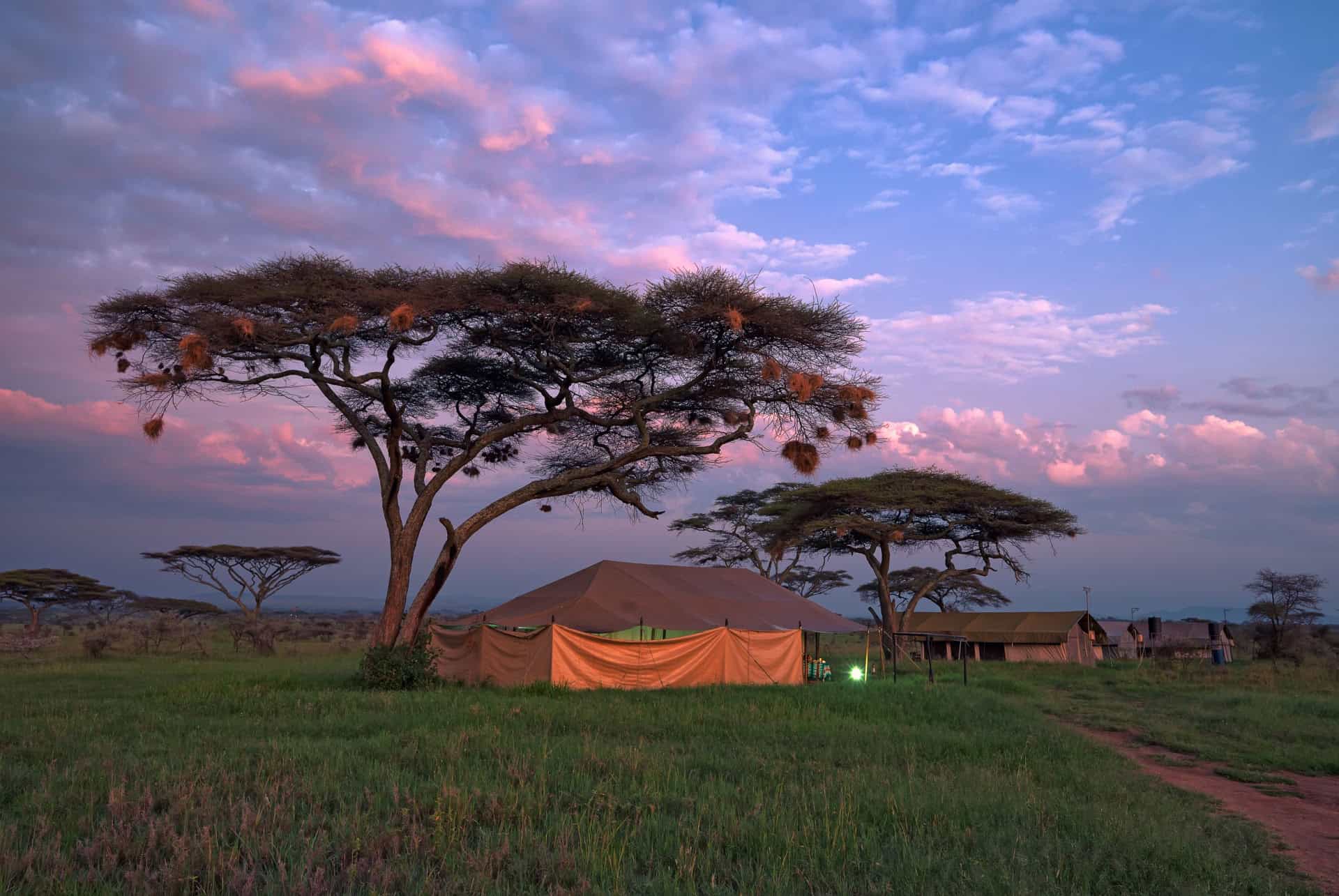 alojamiento precio de un safari en kenia