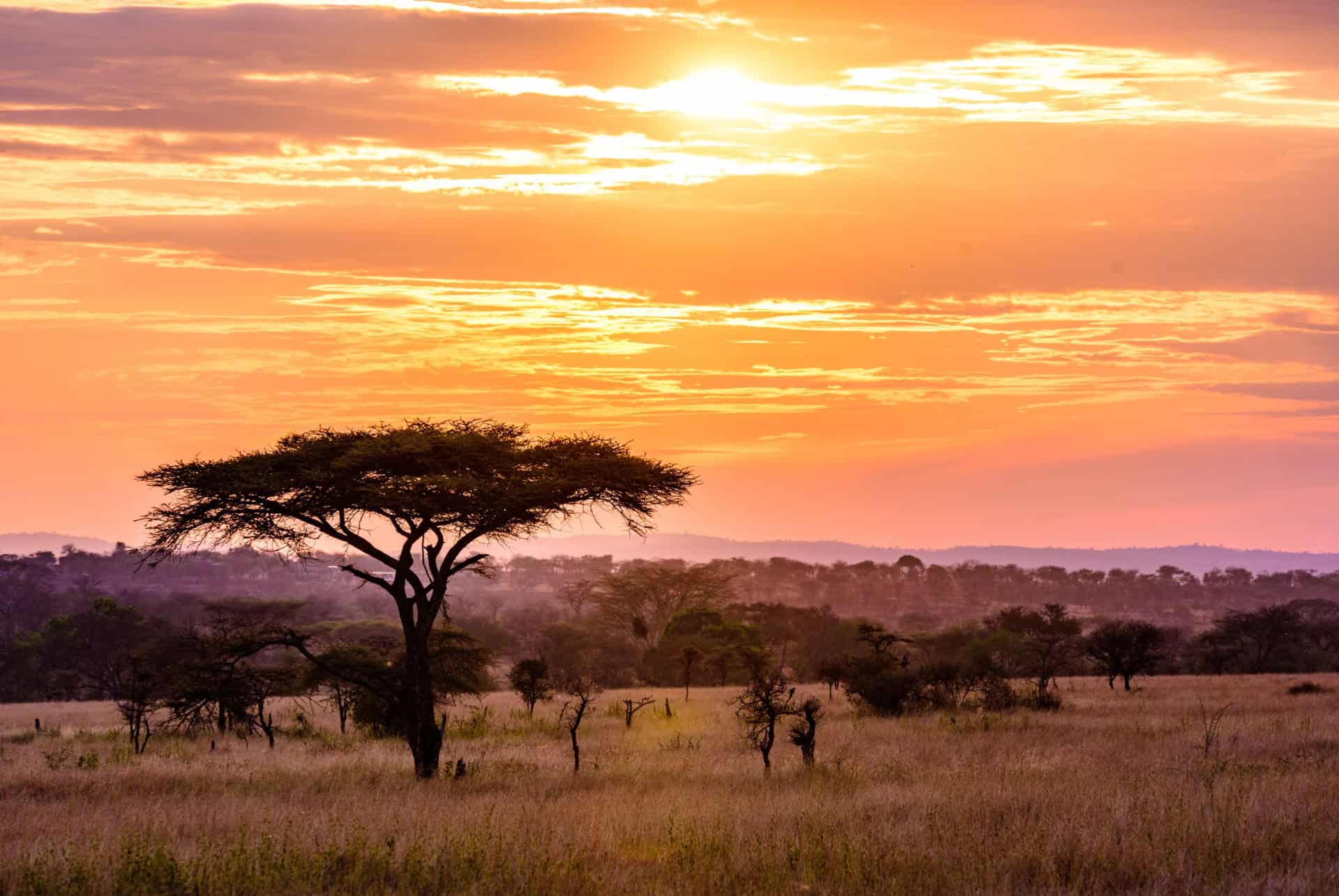 parque kruger precio de un safari en sudafrica