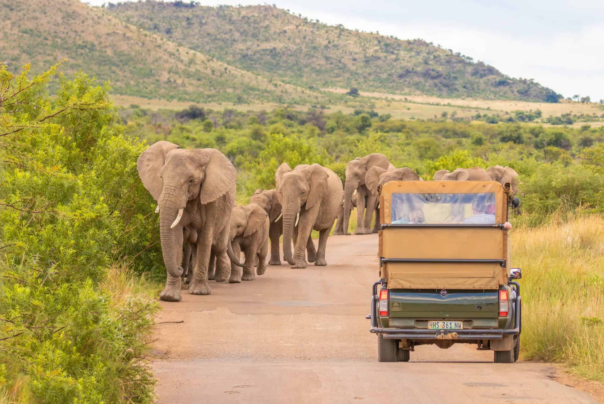 prix safari afrique du sud