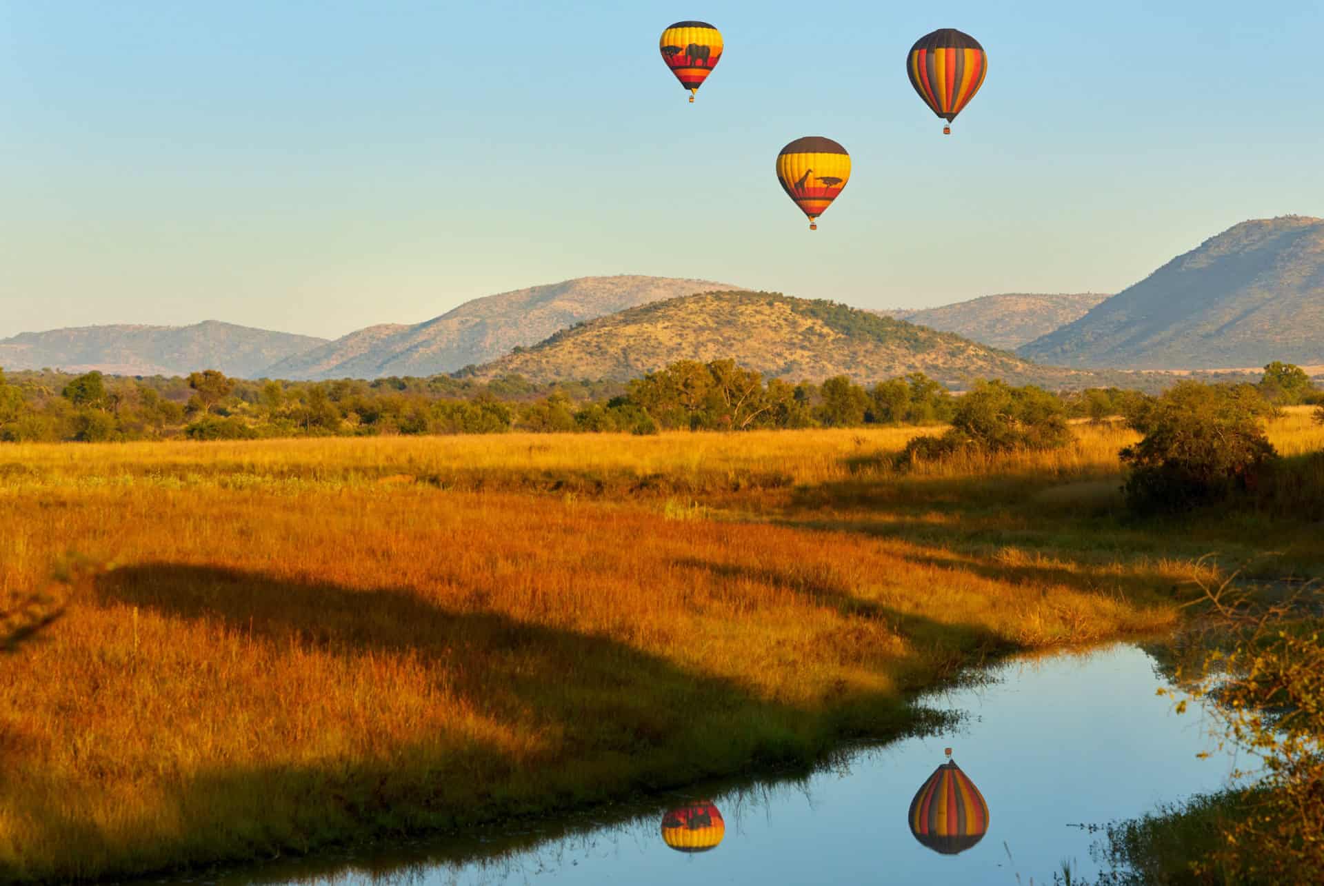 savane montgolfiere