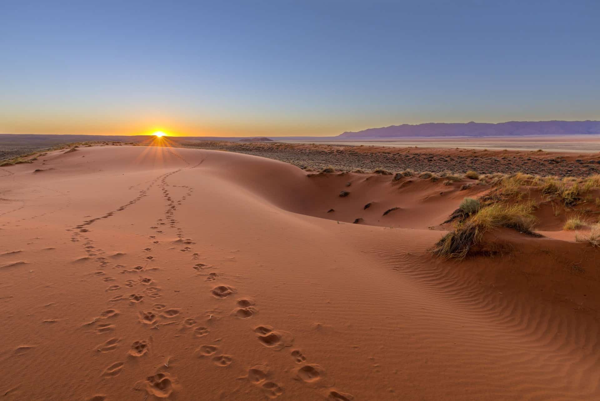 kalahari desert