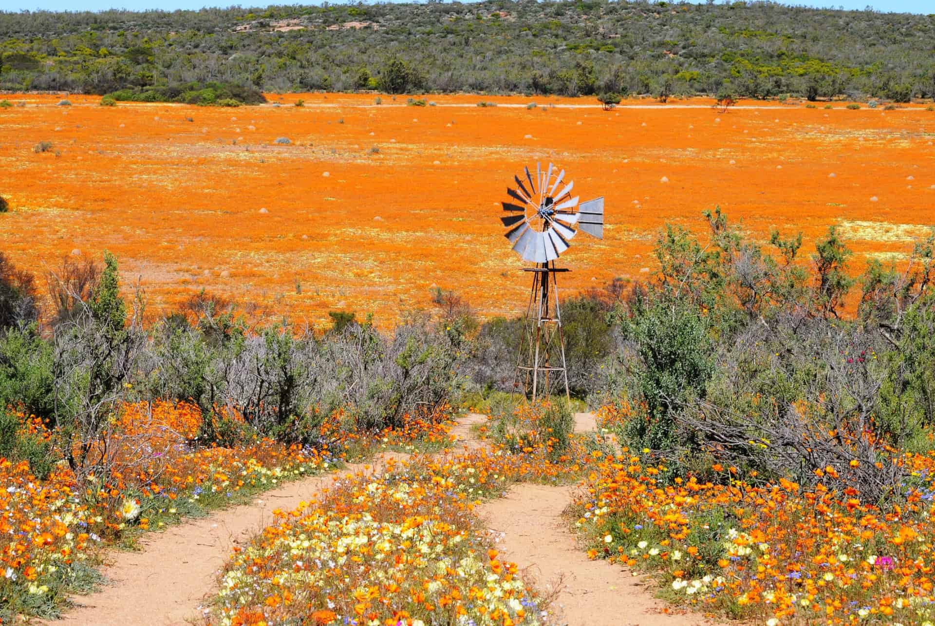 namaqualand que faire afrique sud