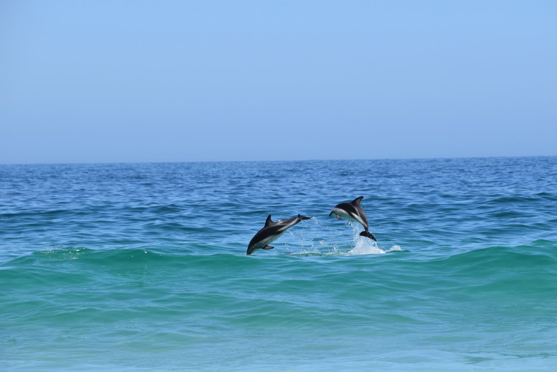plus belles plages afrique du sud camps bay