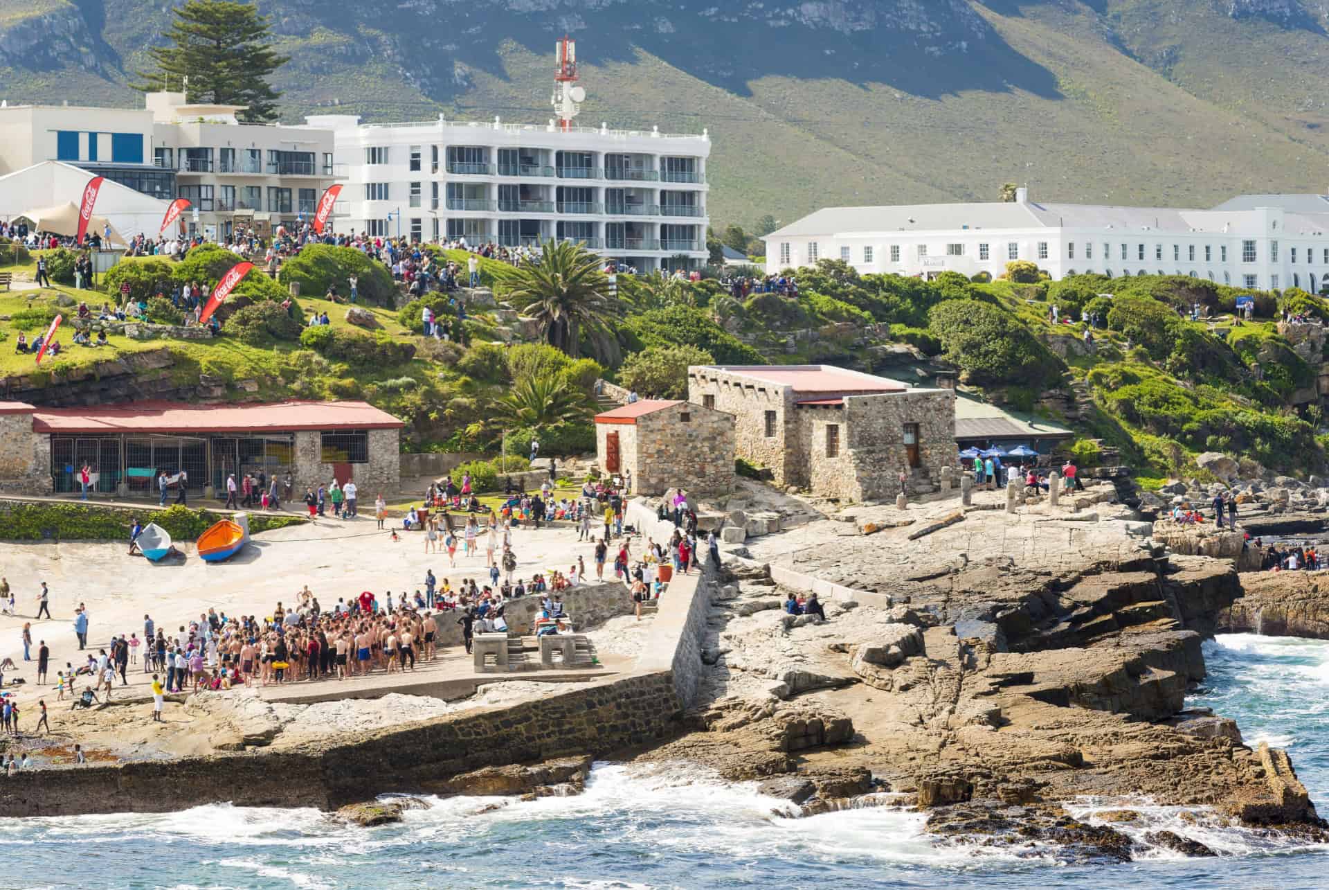 hermanus whale festival