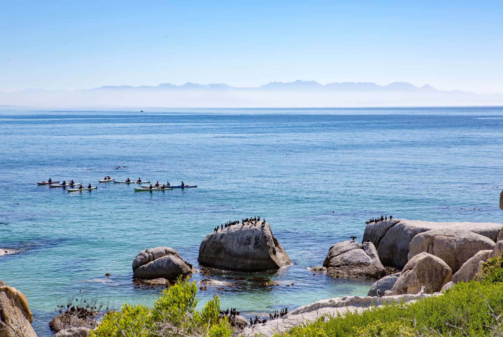 Sortie en kayak à Hout Bay