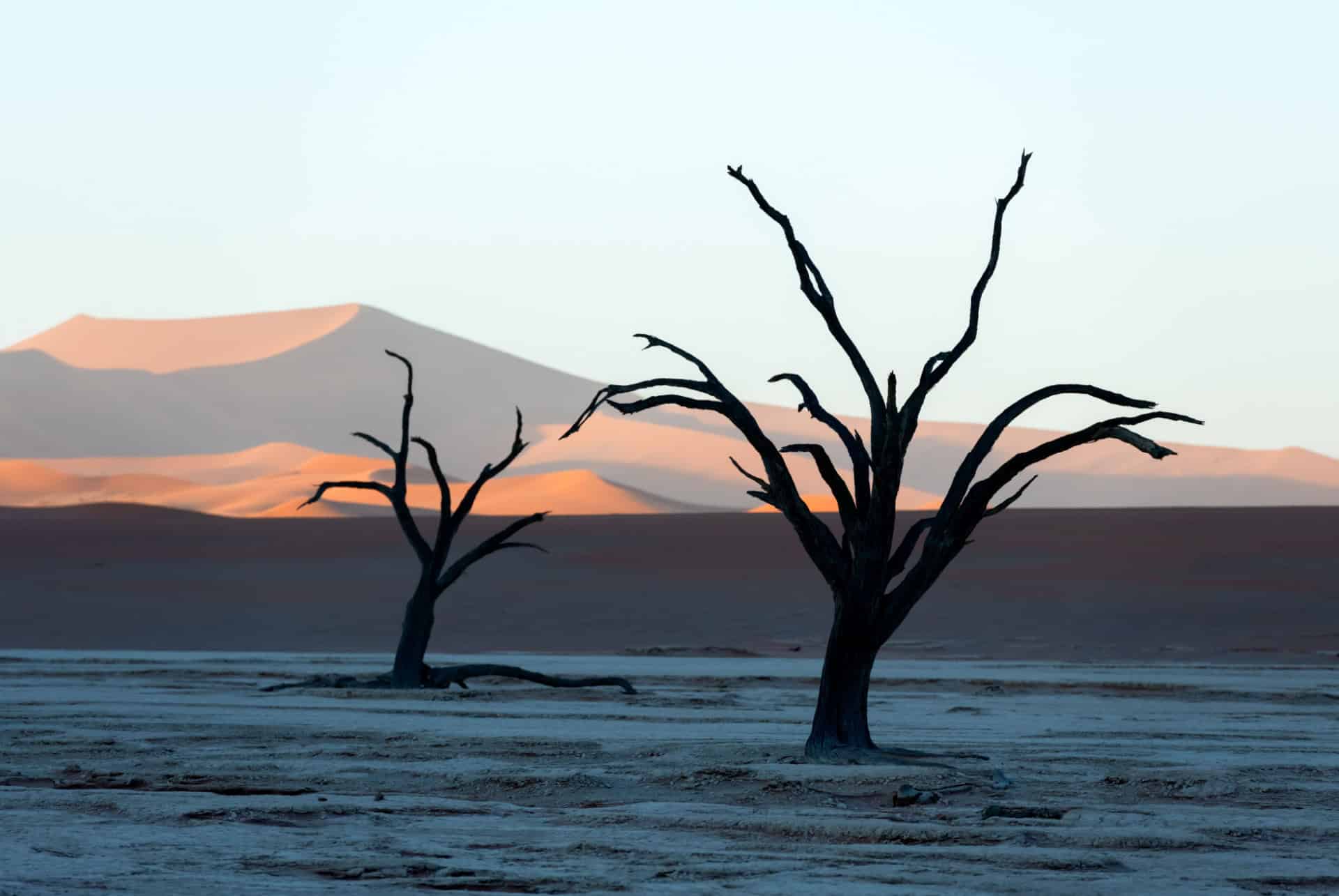 namib deadvlei