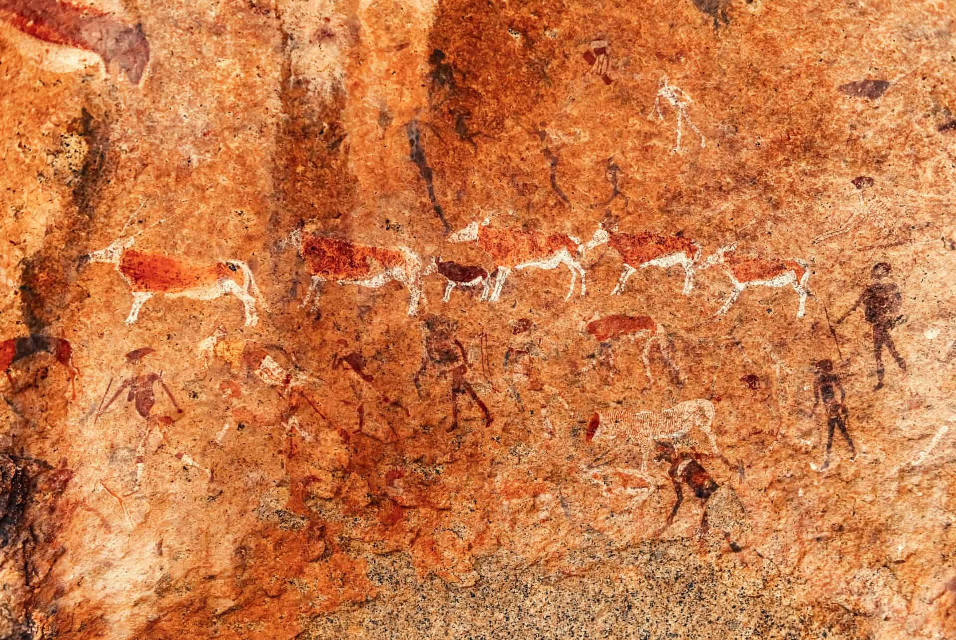 peinture rupestre namibie