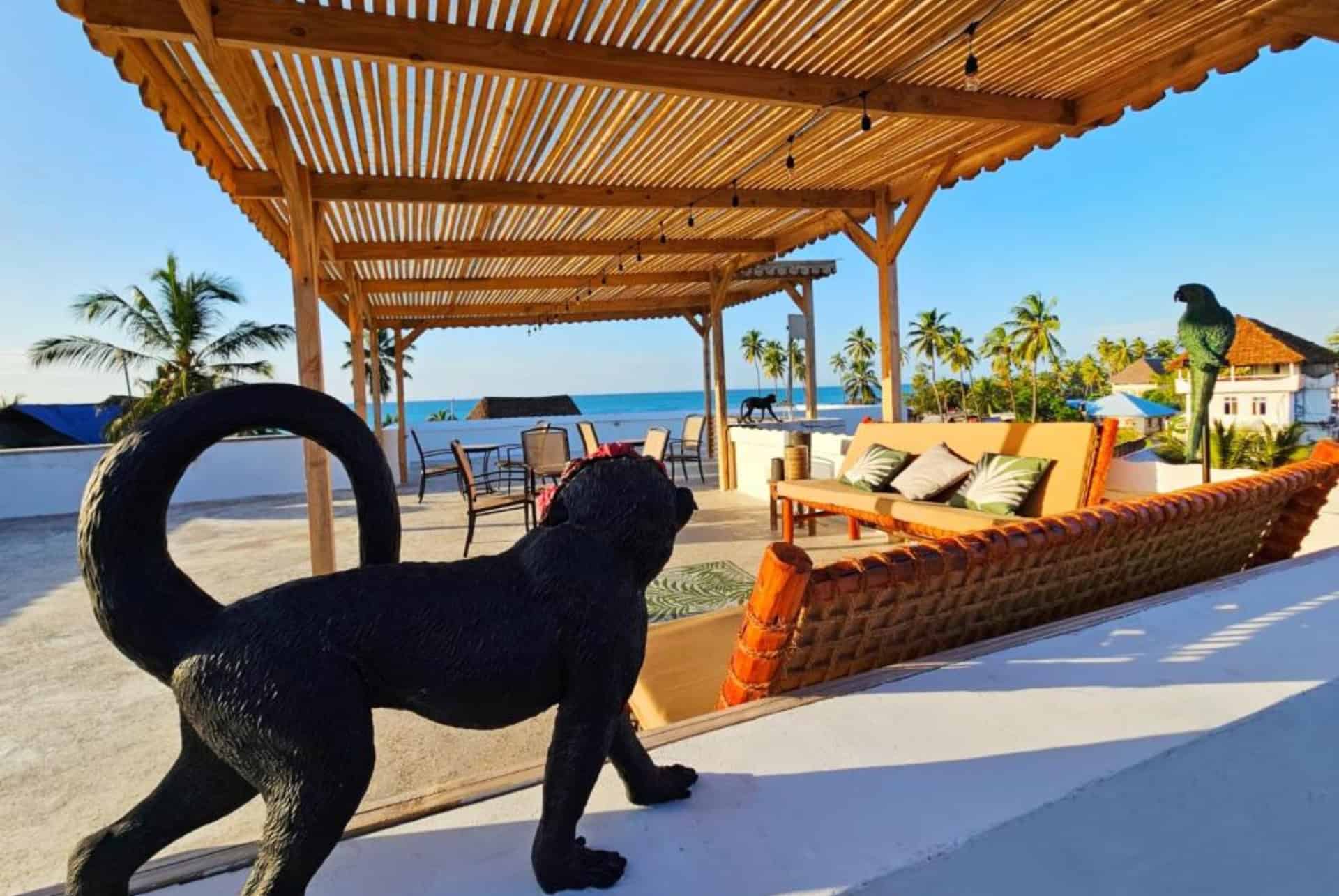 plage zanzicrown