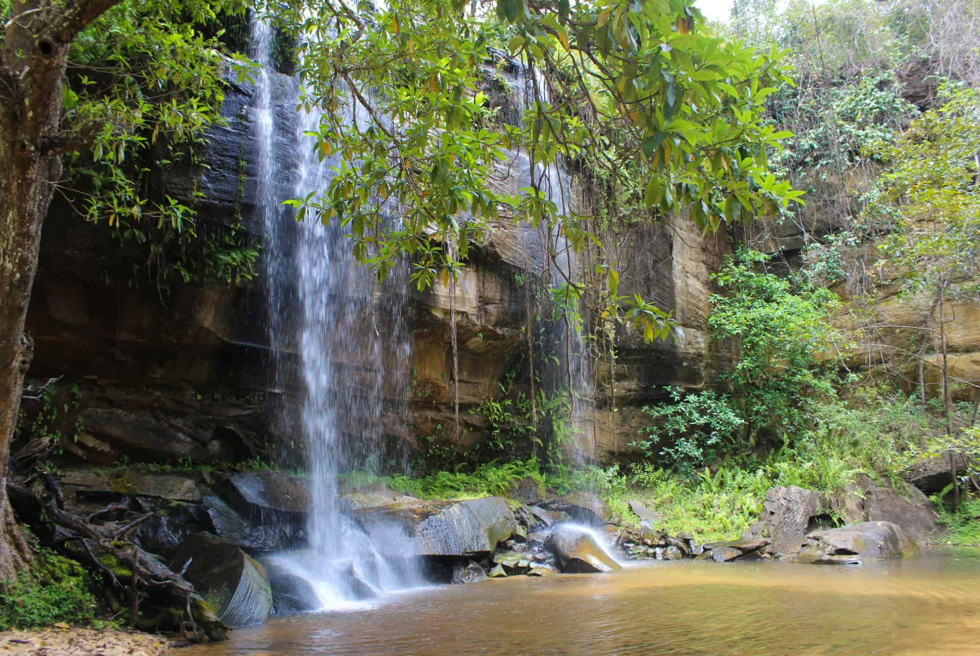 shimba hills