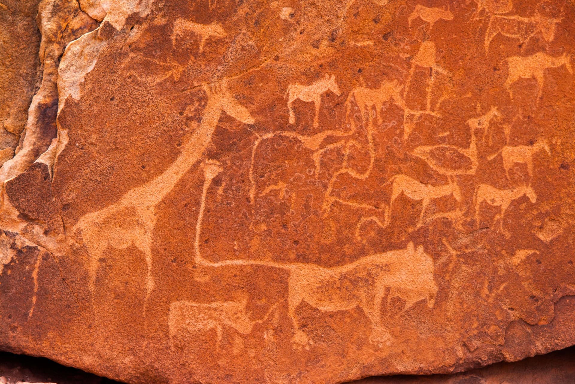 twyfelfontein peintures rupestres