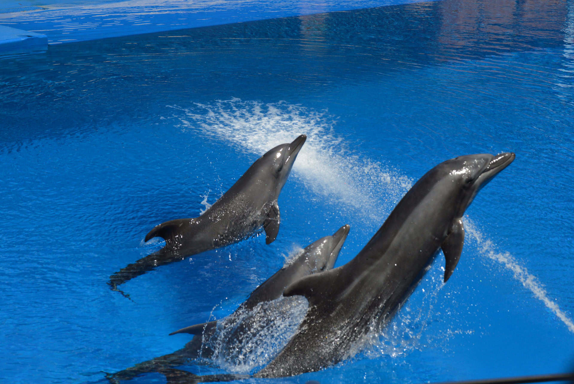 ushaka marine world