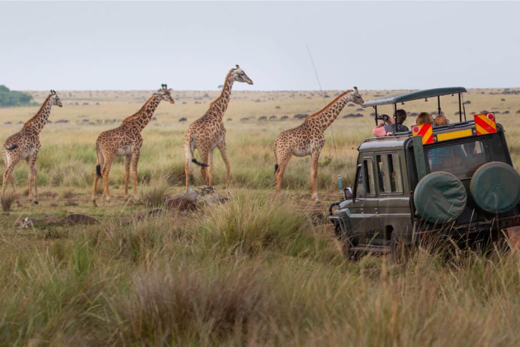 animales en kenia