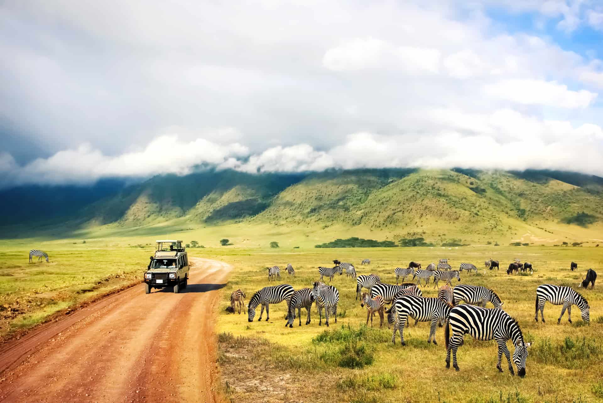 go on safari in africa