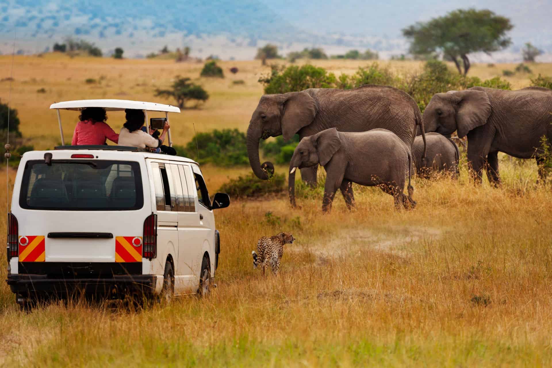 organizing a safari in kenya