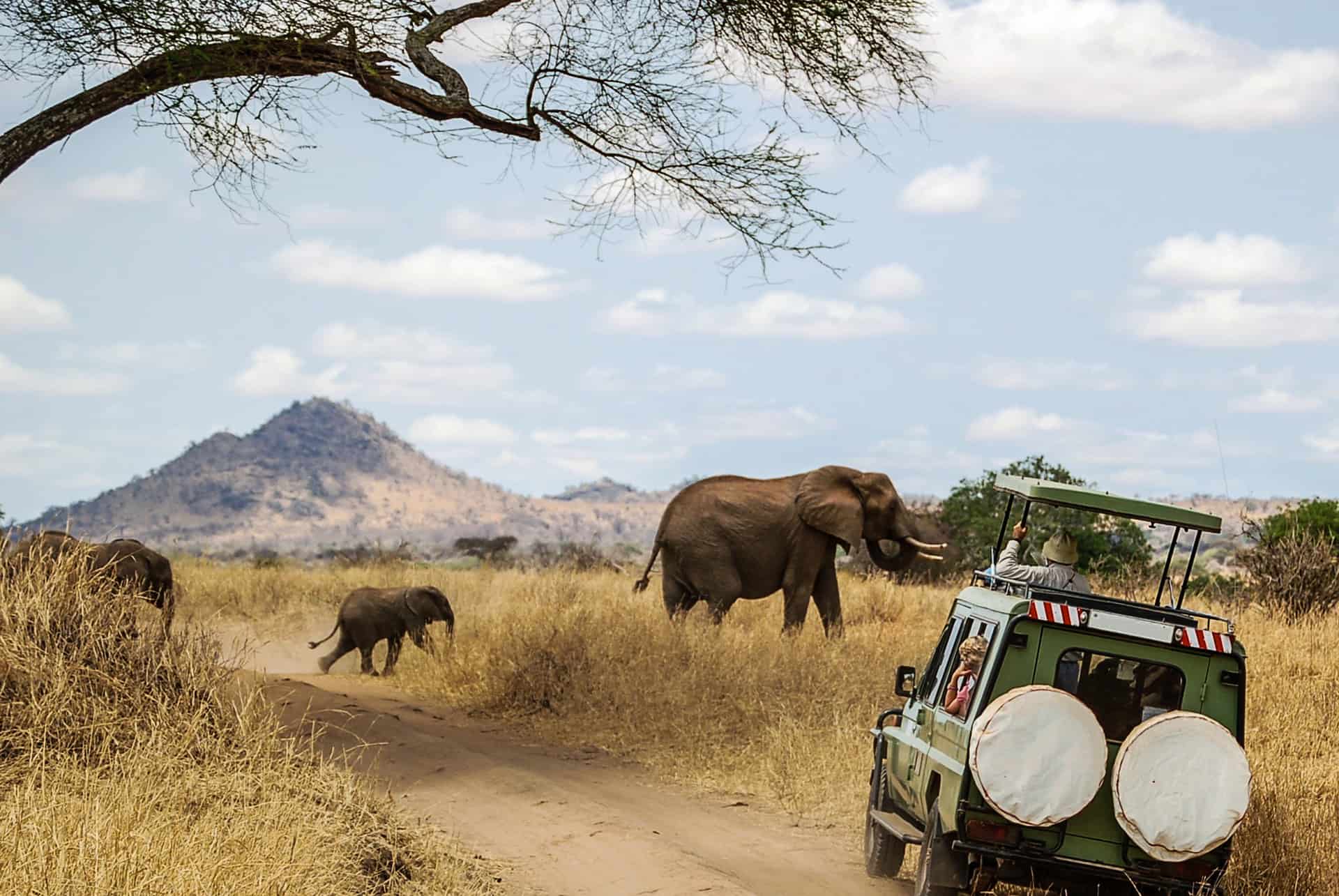 organización de su safari en tanzania