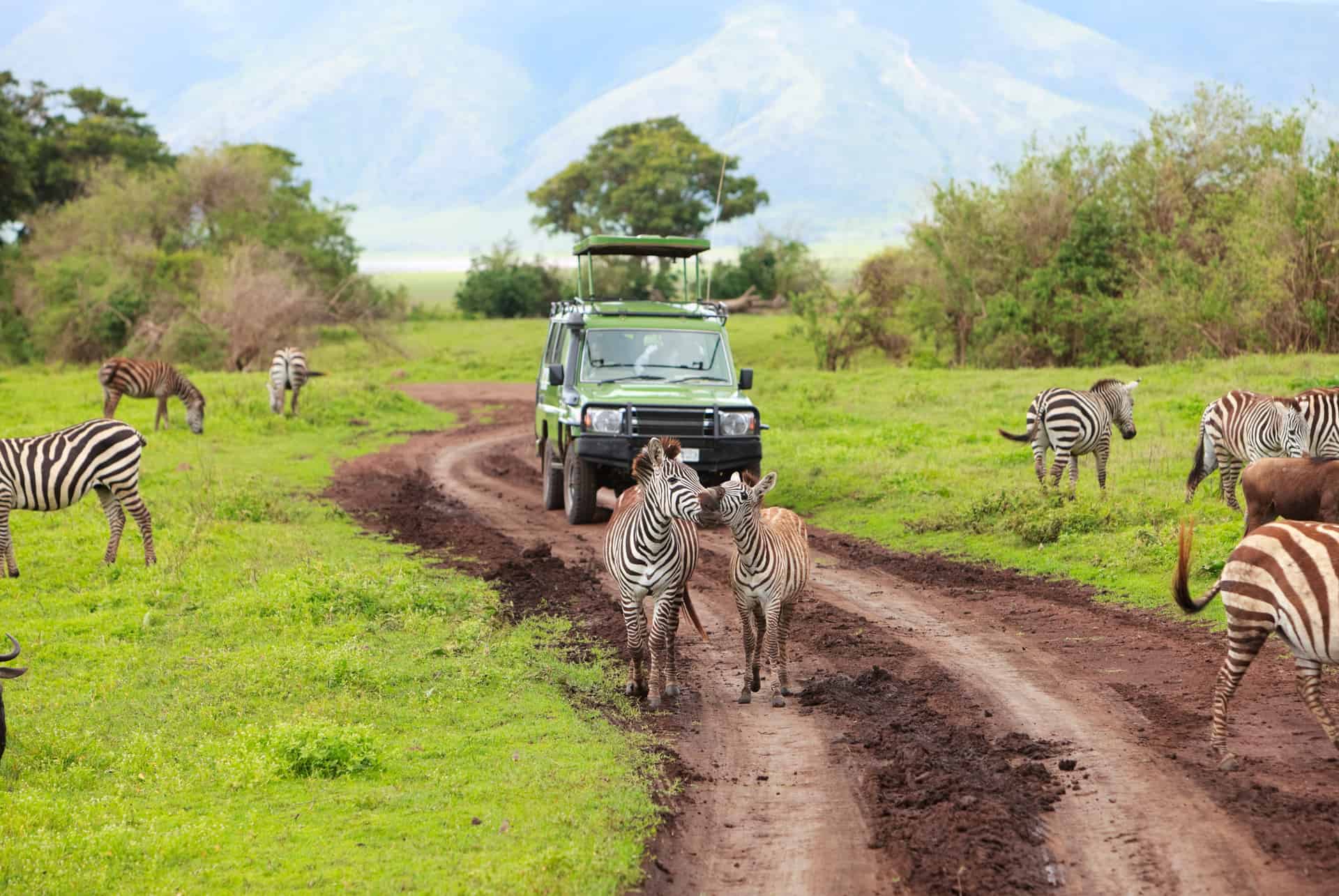 presupuesto safari kenia