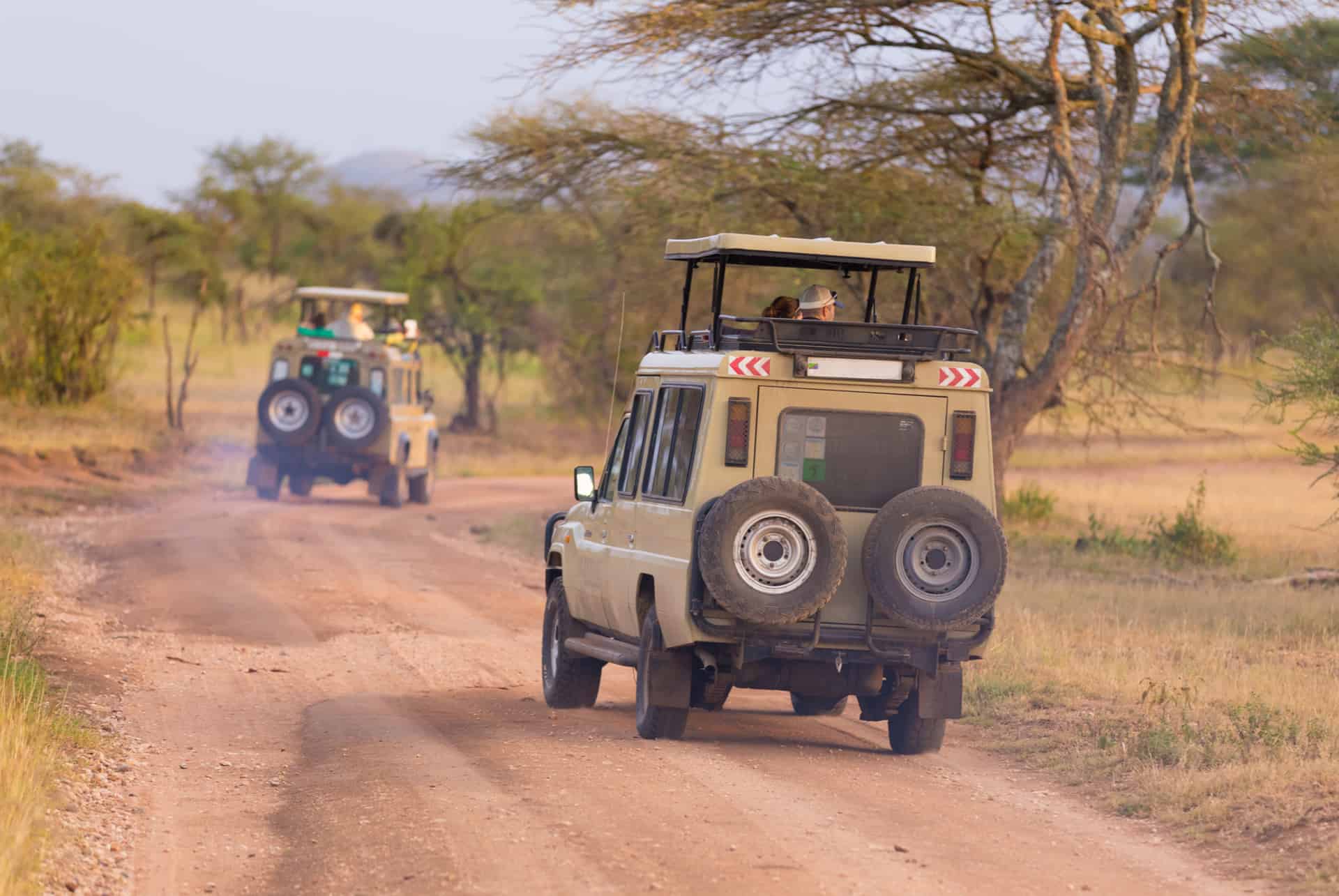 prix safari tanzanie 2 jours