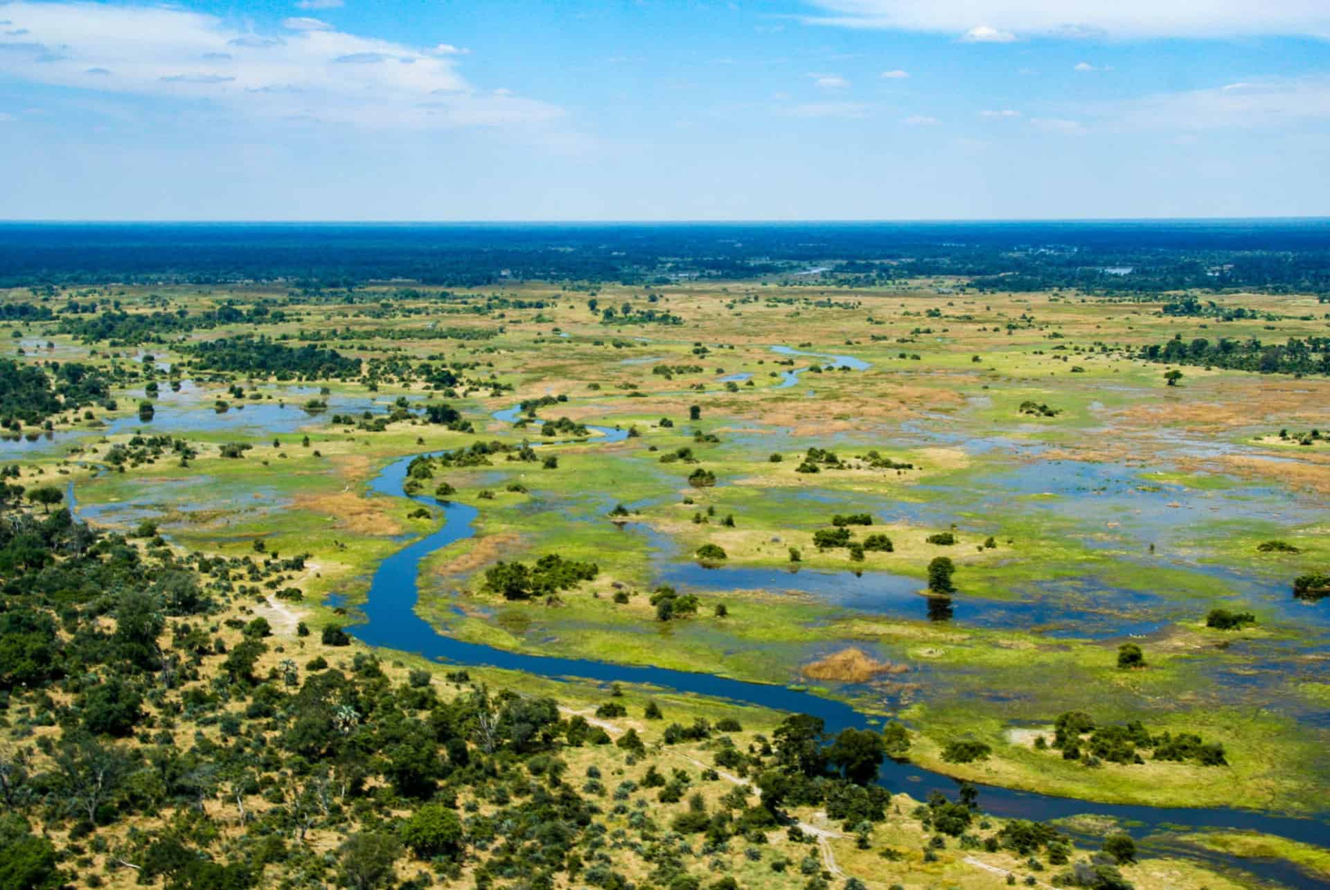safari combine namibie botswana