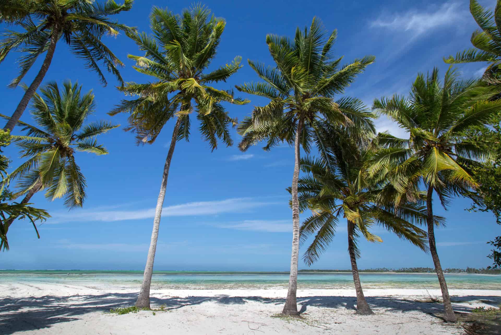 pongwe beach
