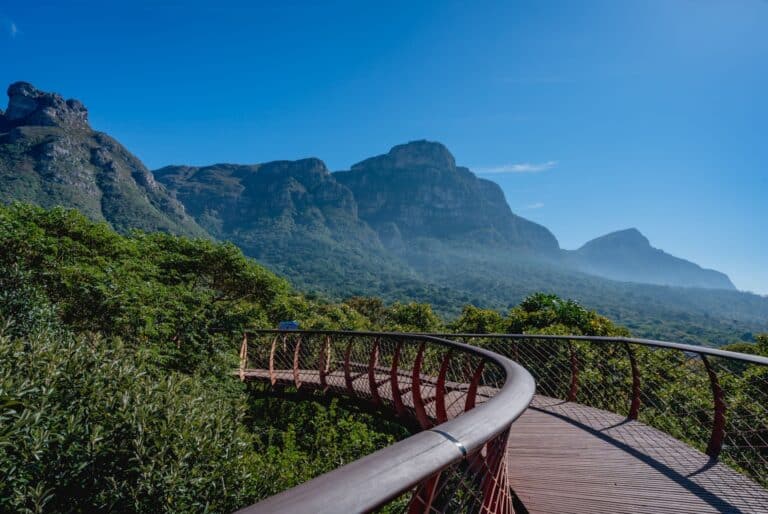 Billet pour les jardins de Kirstenbosch
