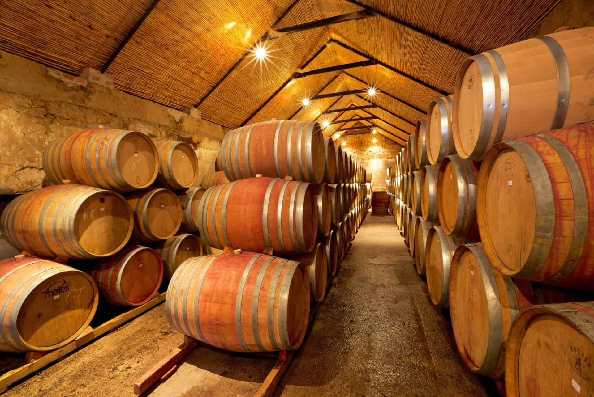 cave paarl route des vins afrique du sud