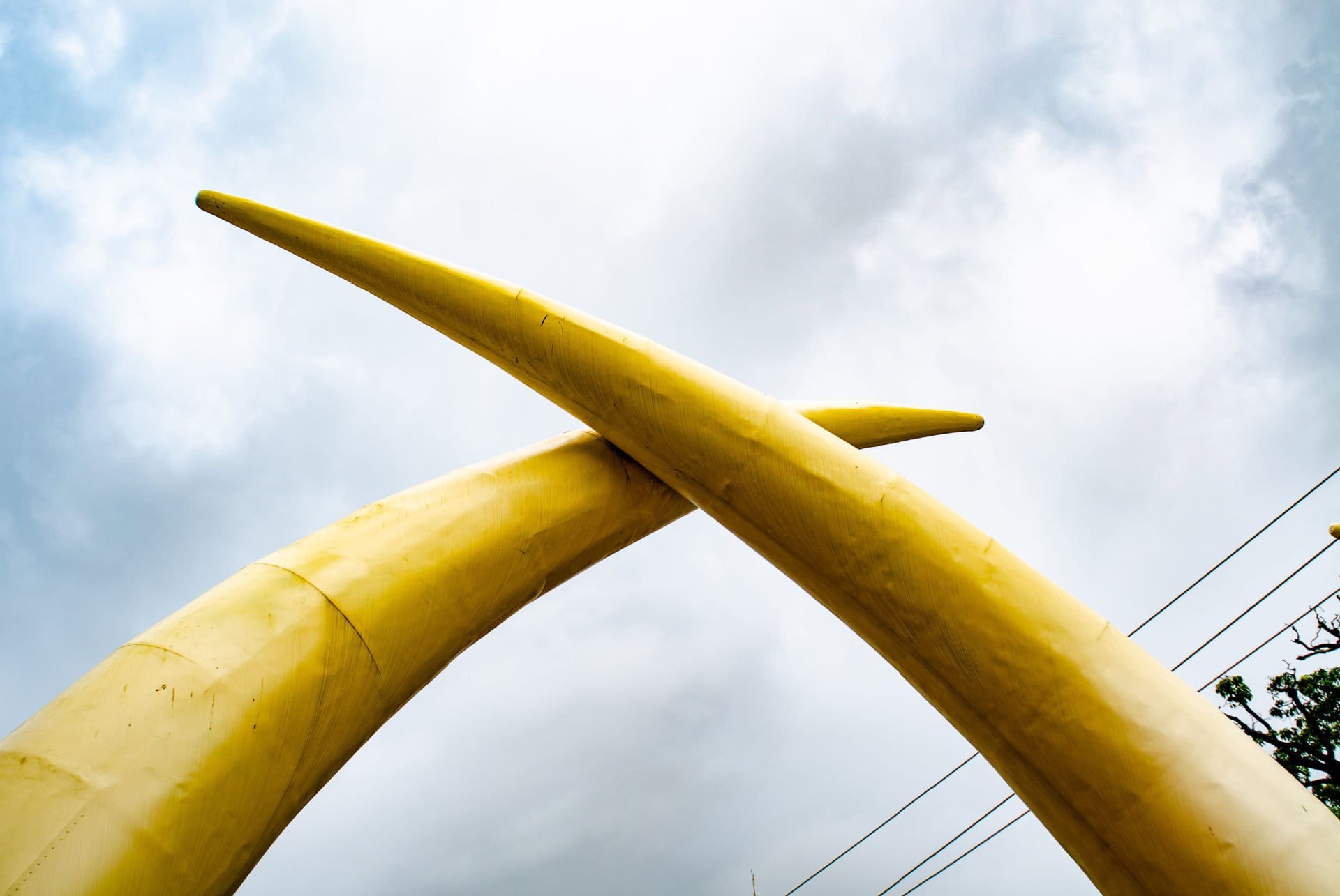 defenses elephants mombasa kenya defenses elephants mombasa kenya