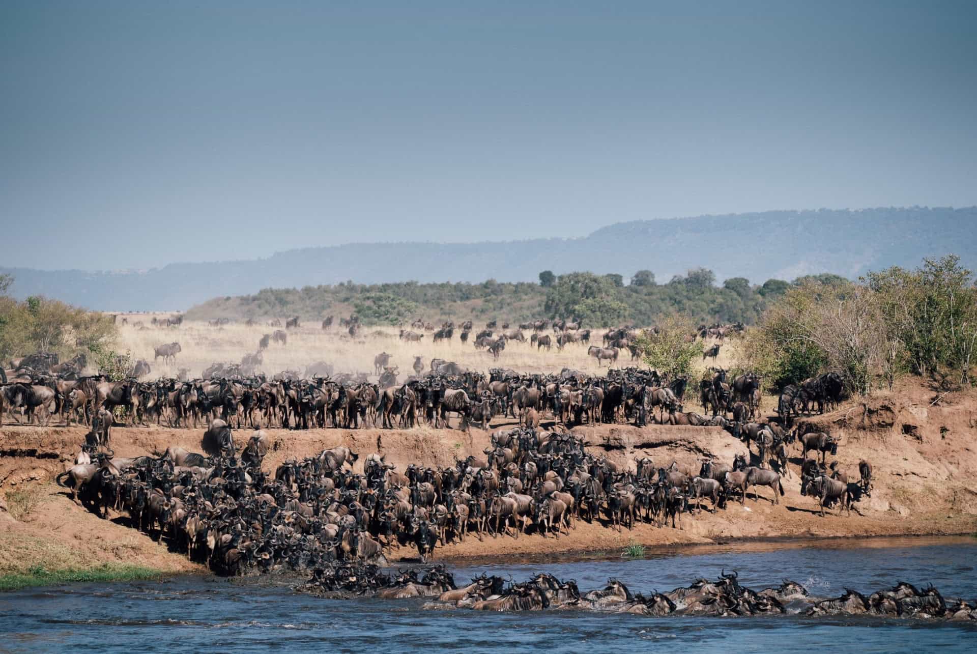 grande migration grande migration