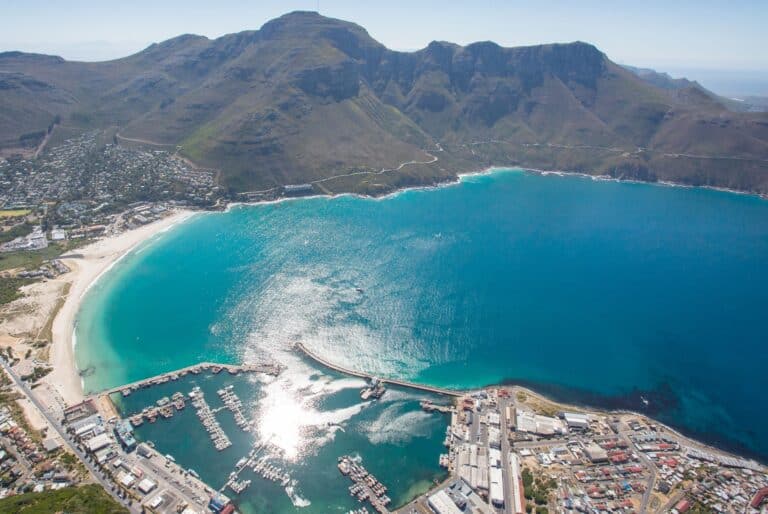 Depuis le Cap : Safari océanique à Hout Bay