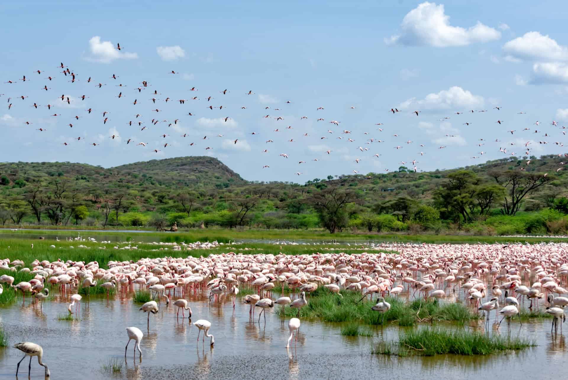 lac bogoria