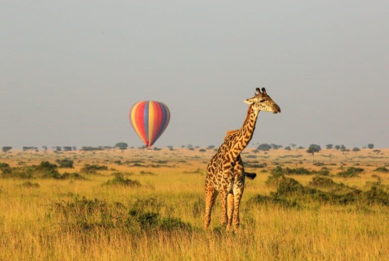 Montgolfière dans le Masai Mara